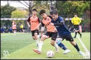 HTH Sports-球队战术灵活，横扫对手出空