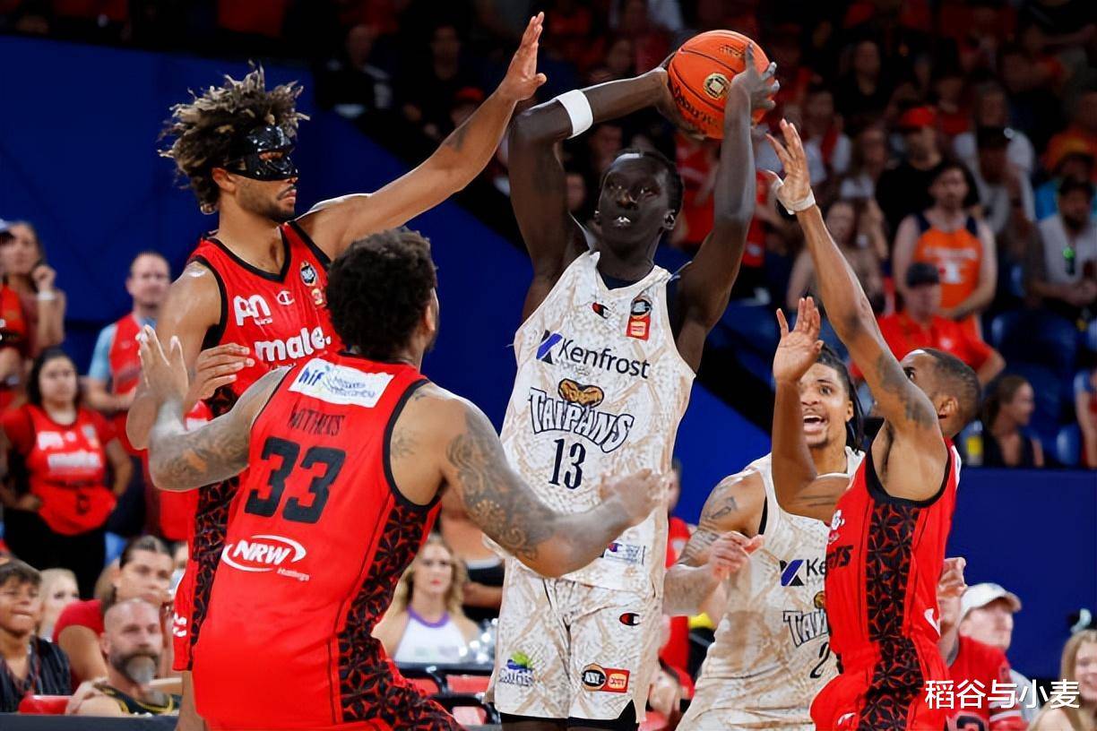 澳大利亚球员在顶级比赛中脱颖而出